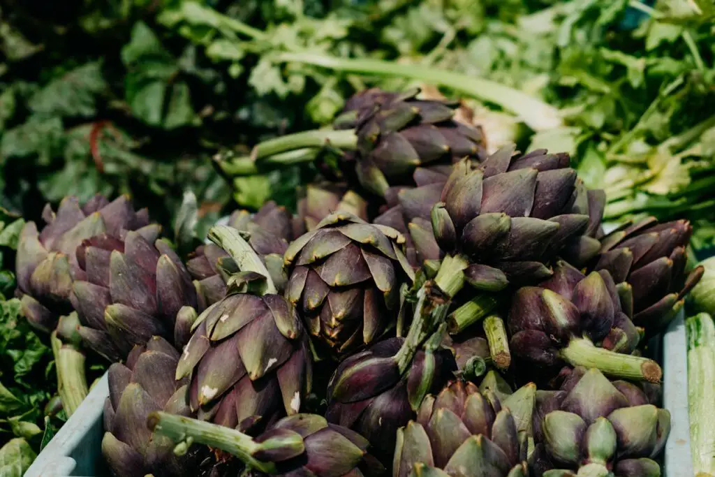 <p> Artichokes are a powerhouse of fiber, antioxidants, and essential vitamins like C and K. These nutrients play a vital role in supporting digestive health, reducing cholesterol, and detoxifying the liver. The high fiber content in artichokes aids in digestion by promoting healthy bowel movements and preventing constipation. Artichokes are also rich in silymarin, an antioxidant that helps protect the liver from damage caused by toxins. Steam or roast artichokes for a healthy and delicious side dish, or add them to salads for a burst of flavor and nutrition. </p> :: Pexels