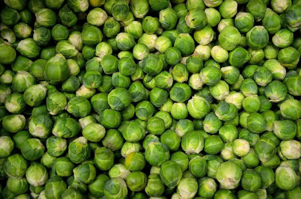 <p> Brussels sprouts may have earned a bad reputation as kids, but these little vegetables are nutrient-packed and full of fiber. Half a cup of cooked Brussels sprouts offers about 4 grams of fiber. They’re also loaded with vitamin C and antioxidants that can boost your immune system. Whether roasted, steamed, or tossed in a salad, Brussels sprouts are a great fiber-rich side dish to include in your meals. They can even be the star of your plate! </p> :: Pexels