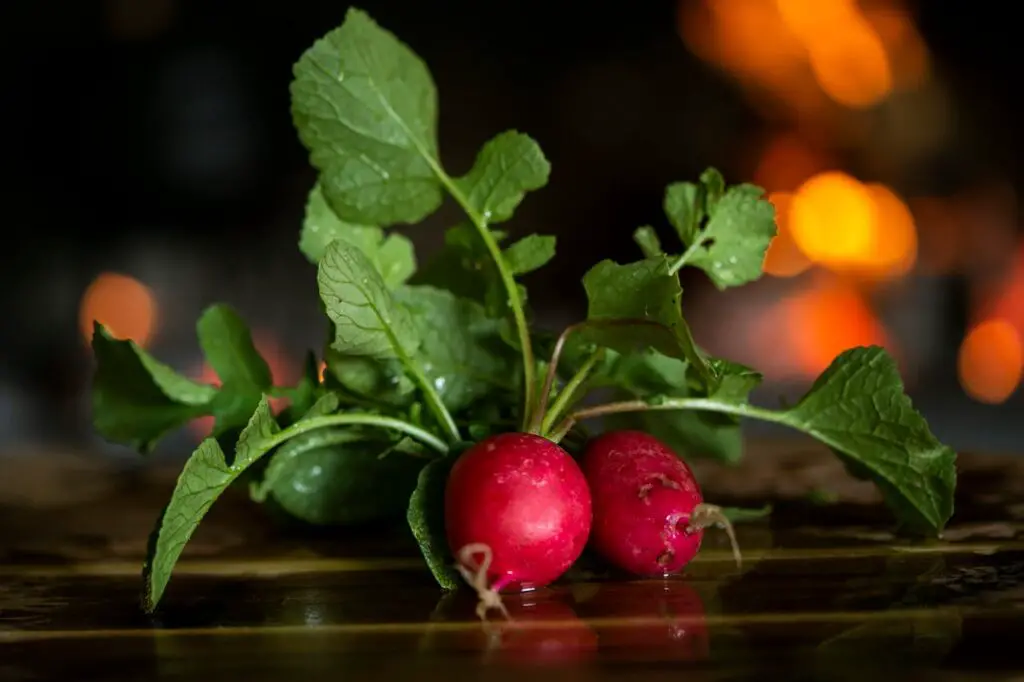 <p> Radishes are one of the fastest-growing vegetables, often ready for harvest in just 20 to 30 days. These crisp, peppery root vegetables thrive in cool weather and can be planted in both spring and fall. They require minimal care—just well-draining soil and regular watering to prevent them from turning bitter. You can also eat radish greens, making this a two-for-one crop that grows quickly and adds a fresh bite to salads. </p> :: Pexels