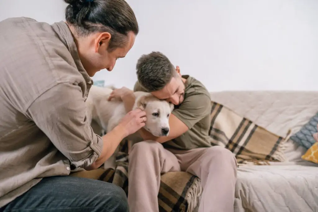 <p> Having a dog can have a direct impact on your heart health. Research has shown that dog owners tend to have lower blood pressure, cholesterol levels, and a reduced risk of heart disease. The American Heart Association has even stated that owning a dog is associated with increased longevity. The combination of increased physical activity, reduced stress, and emotional support from your pet contributes to a healthier heart and overall well-being. </p> :: Pexels