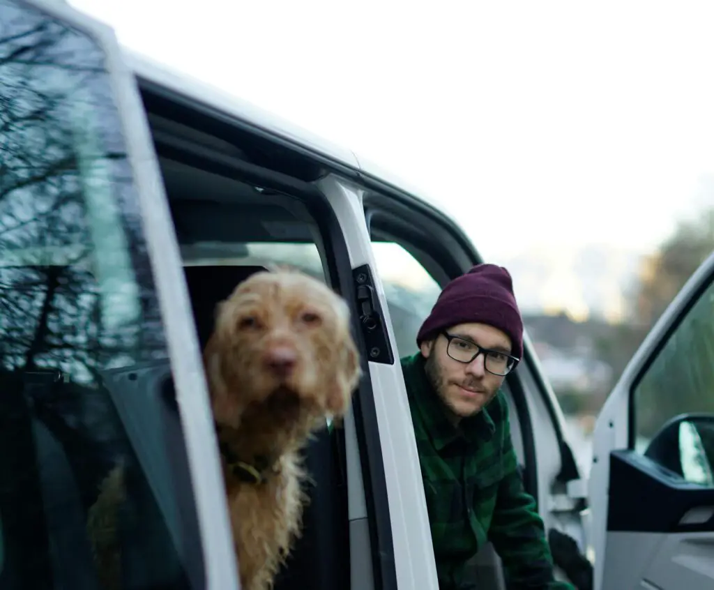 <p>Hitting the road with your pet can be a fun adventure, but it takes planning. The last thing you want is a restless, unhappy travel buddy. Whether you’re driving across town or across the country, a few simple tricks can make the trip easier for both you and your pet. From packing the right gear to keeping them safe on the road, these travel hacks will help ensure a smooth ride.</p> ::Pexels