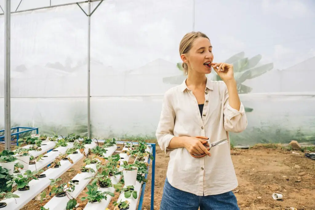 <p>Hydroponic gardening lets you grow plants without soil by using a water-based nutrient solution. This method is popular among those who want a modern twist on indoor gardening. It often leads to faster growth since the roots have direct access to nutrients. Many people are drawn to hydroponics for its clean and controlled setup, which is ideal for indoor environments. Simple hydroponic kits are now available and are easy to use for beginners. This hack is a neat way to experiment with new methods and see quick results in plant growth.</p> ::Pexels