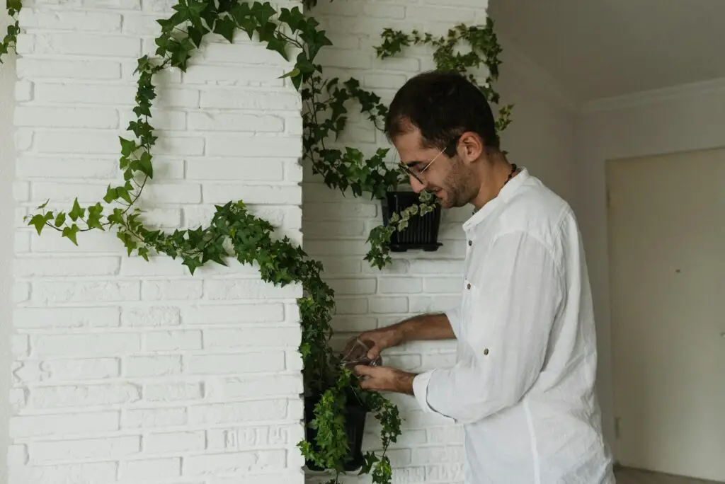 <p>Vertical gardening is a smart use of small spaces and can transform a plain wall into a lush display. By hanging planters or using wall-mounted racks, you can grow many plants without taking up valuable floor space. This method is popular in apartments and small homes where space is limited. Vertical gardens not only look great but also improve air quality and add vibrant color to your walls. It is a creative hack that makes indoor gardening both fun and efficient. With a vertical setup, you can enjoy a garden that grows upward, saving space while maximizing beauty.</p> ::Pexels