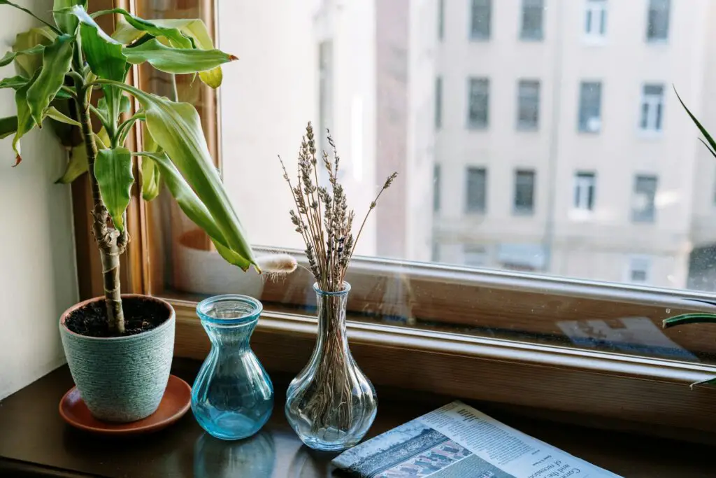 <p>One of the simplest ways to begin indoor gardening is by using your window sills. They offer plenty of natural light, which is vital for plant growth. Many people choose window sills because they do not require extra cost or effort. Placing small pots on the window sill makes plants thrive and adds a fresh look to your room. This hack is popular due to its ease and low cost, and it works well in most homes. Natural light not only helps plants grow but also brightens your living space.</p> ::Pexels