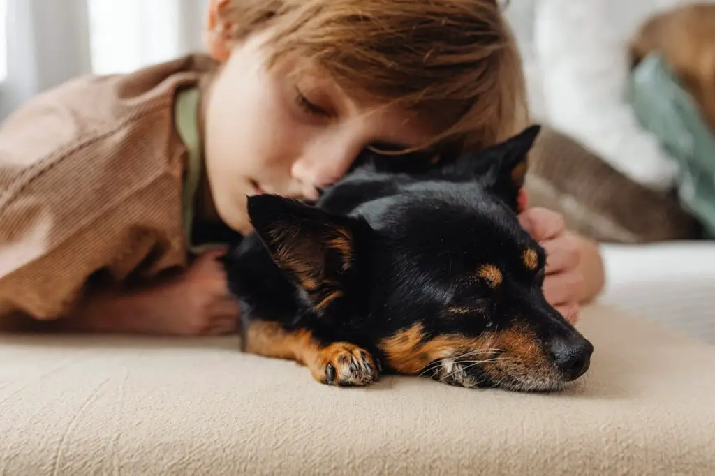 <p> Sleeping next to a dog can improve sleep quality by reducing anxiety and providing a sense of security. Many dog owners find comfort in having their pet close by at night, which can lead to a deeper and more restful sleep. The rhythmic breathing and warmth of a dog can have a calming effect, making it easier to fall asleep and stay asleep. Studies suggest that people who share their bed with their dog often feel more relaxed and experience fewer sleep disturbances. </p> :: Pexels