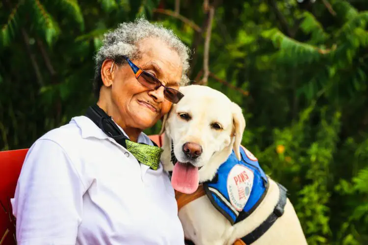 Find Your Furry Friend: 10 Senior-Friendly Dogs to Brighten Your Life!